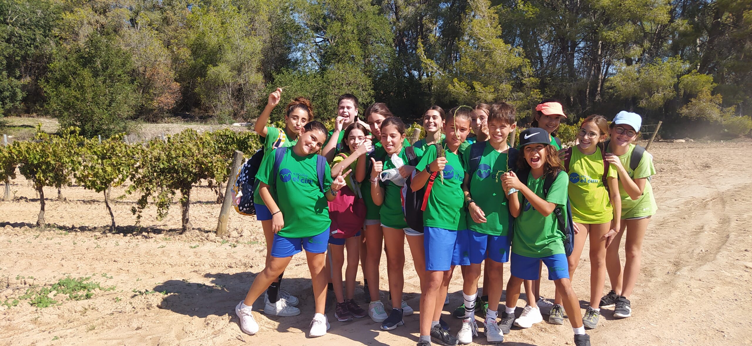 Les nenes i els nens de 6è hem elaborat un HERBARI del Garraf