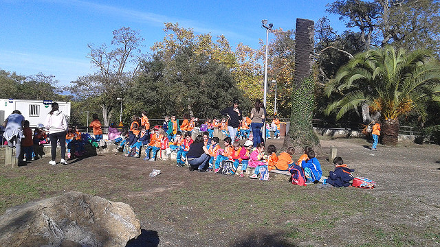 Collserola escola El CIM P5