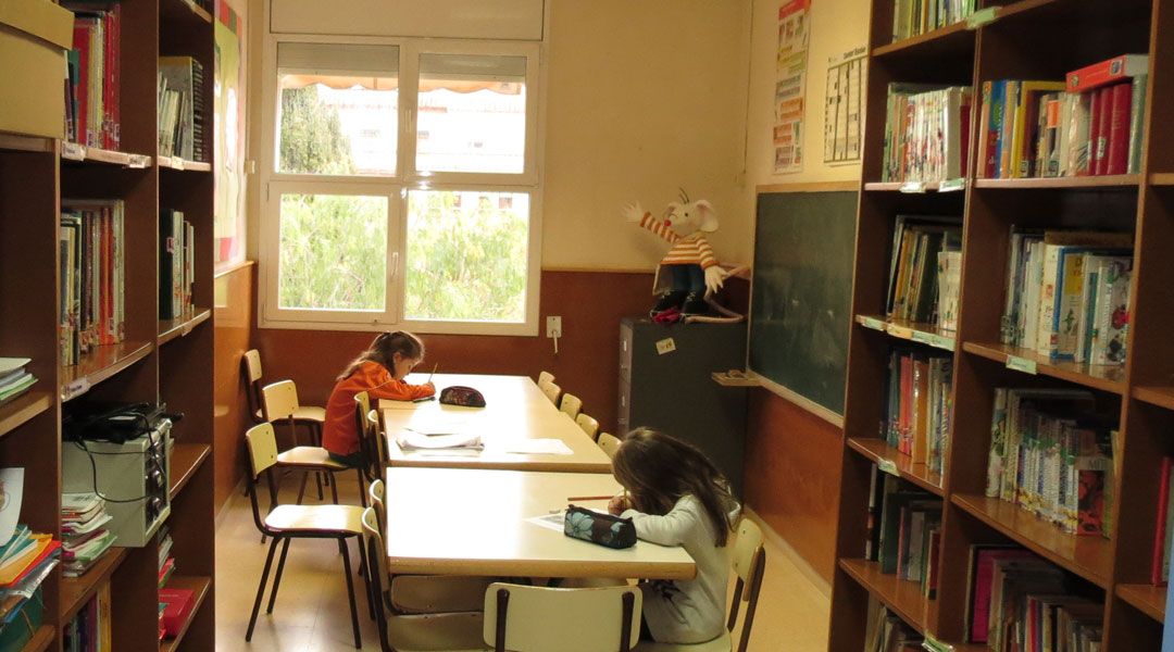 bibilioteca primaria el cim