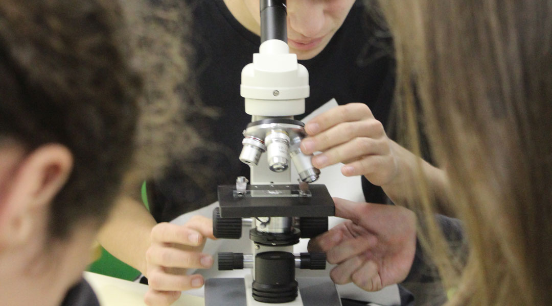 laboratori elcim