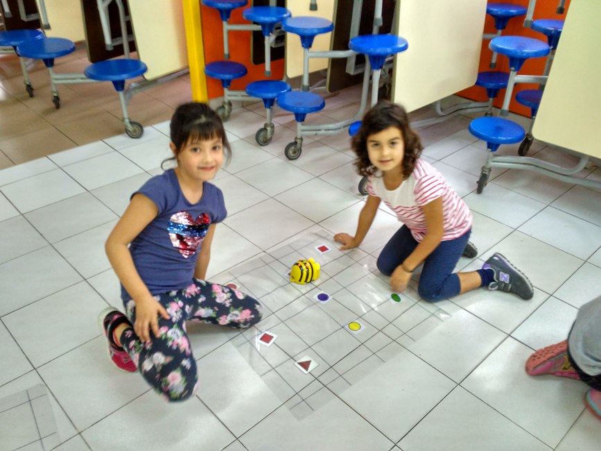 beebots