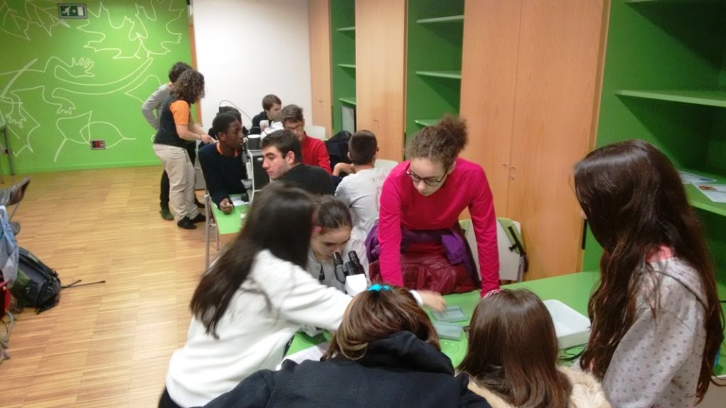 ccgaleria-16
