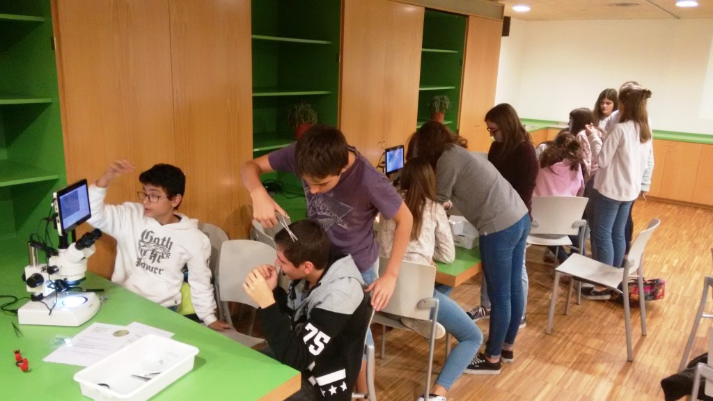 ccgaleria-17