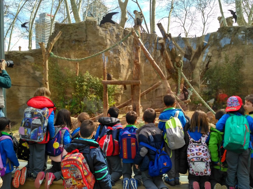 zoo2