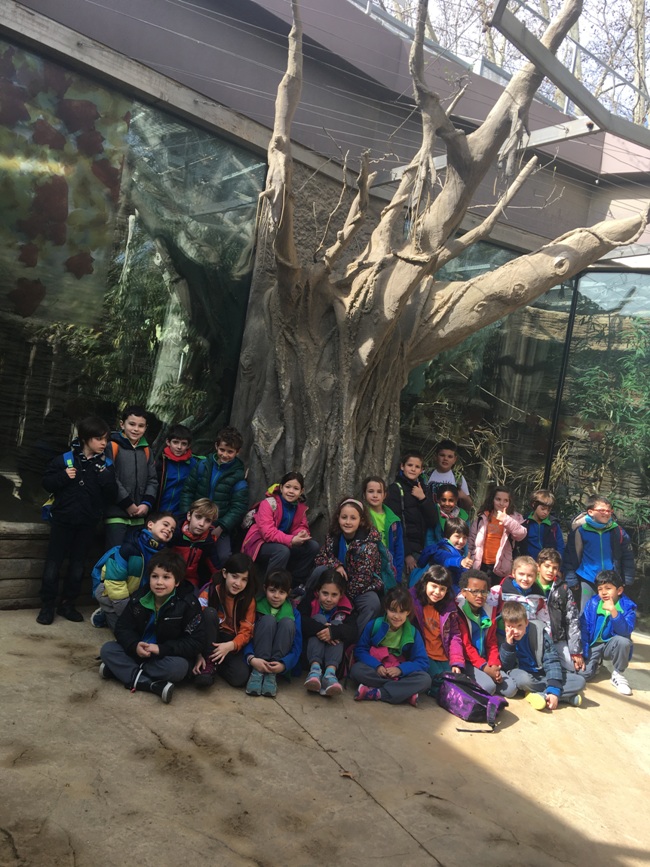 zoo3