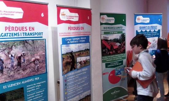 Exposició de Mans Unides sobre el malbaratament alimentari