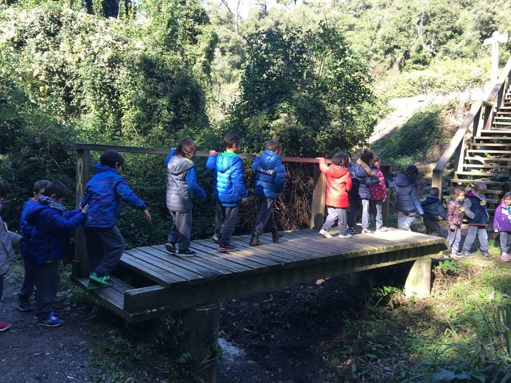 coll 12