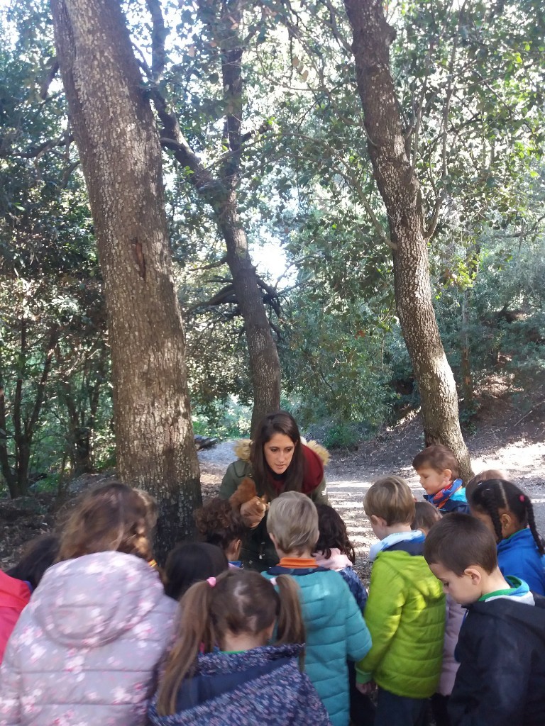 coll 12