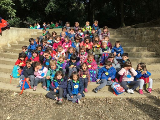 P5 a Collserola