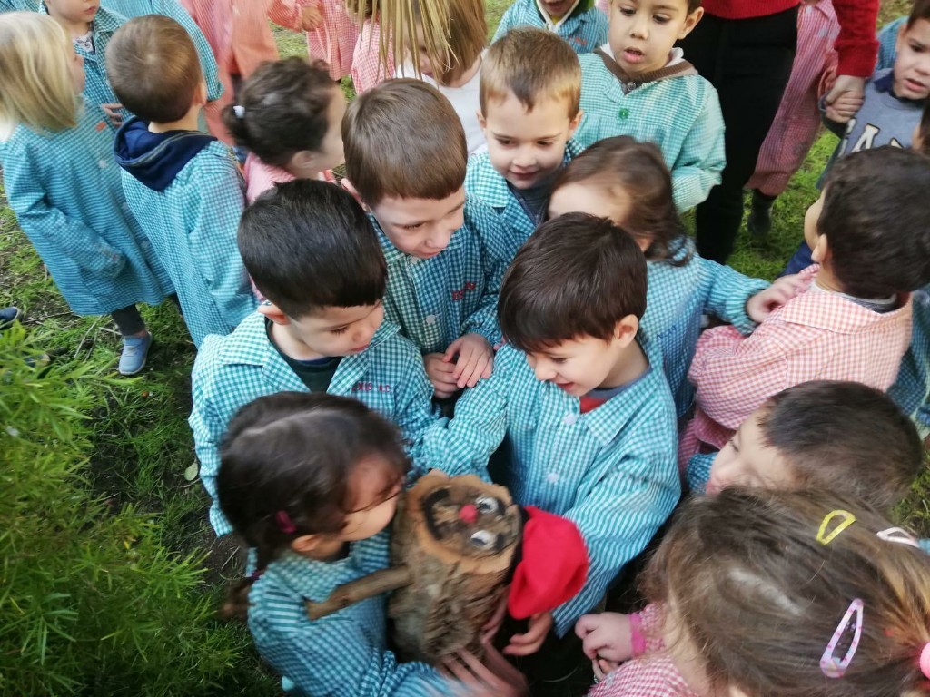 tió 6