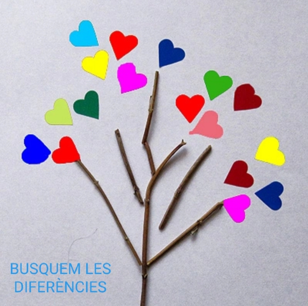 Joc de les diferències P4