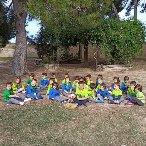 P4 i P5 a Saifores