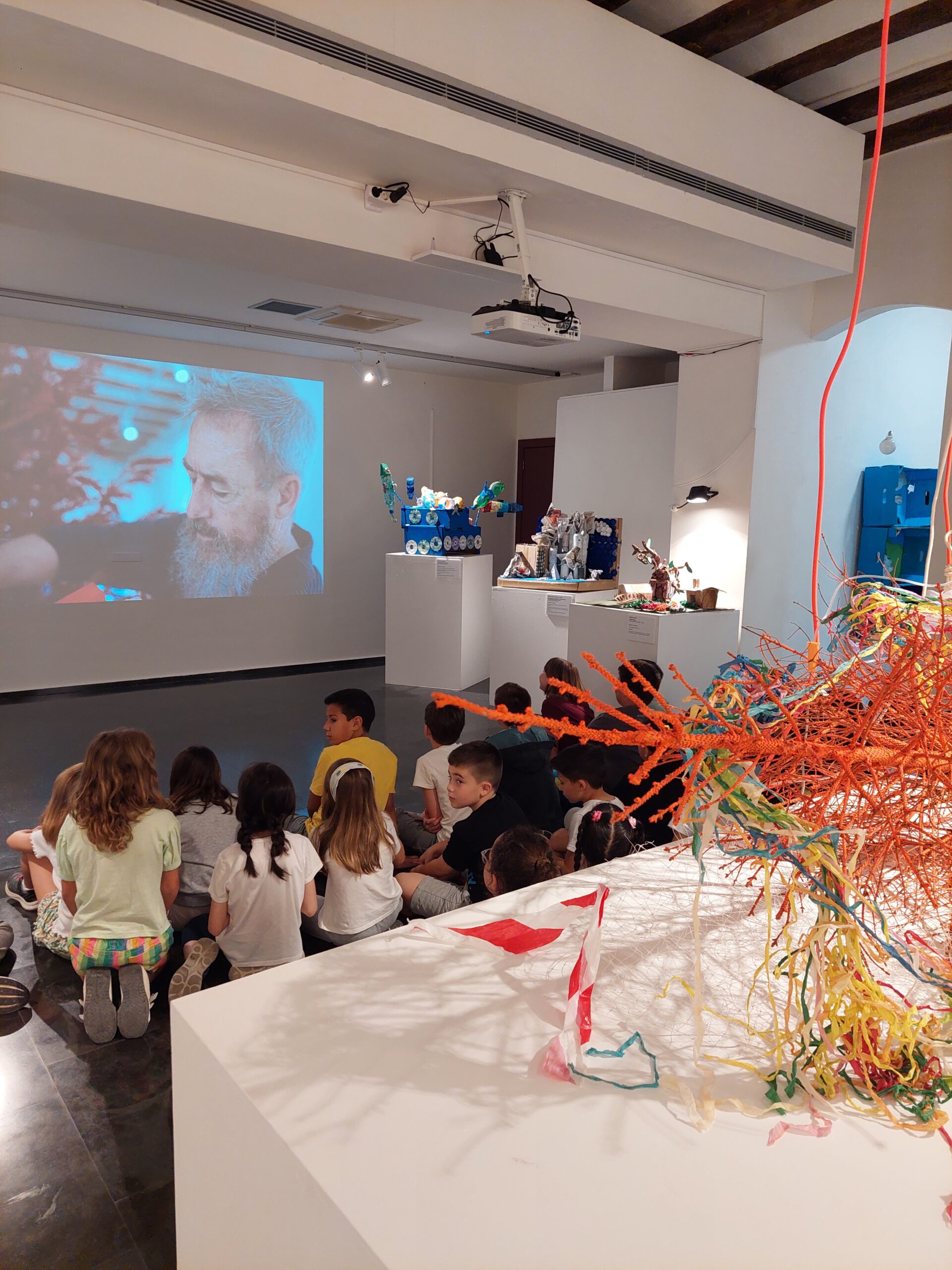 Art, natura i sostenibilitat 3r Primària