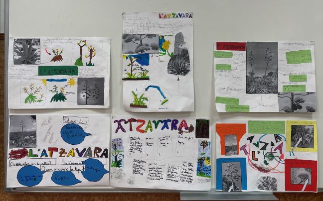 Us convidem a fer el genially sobre l’Atzavara