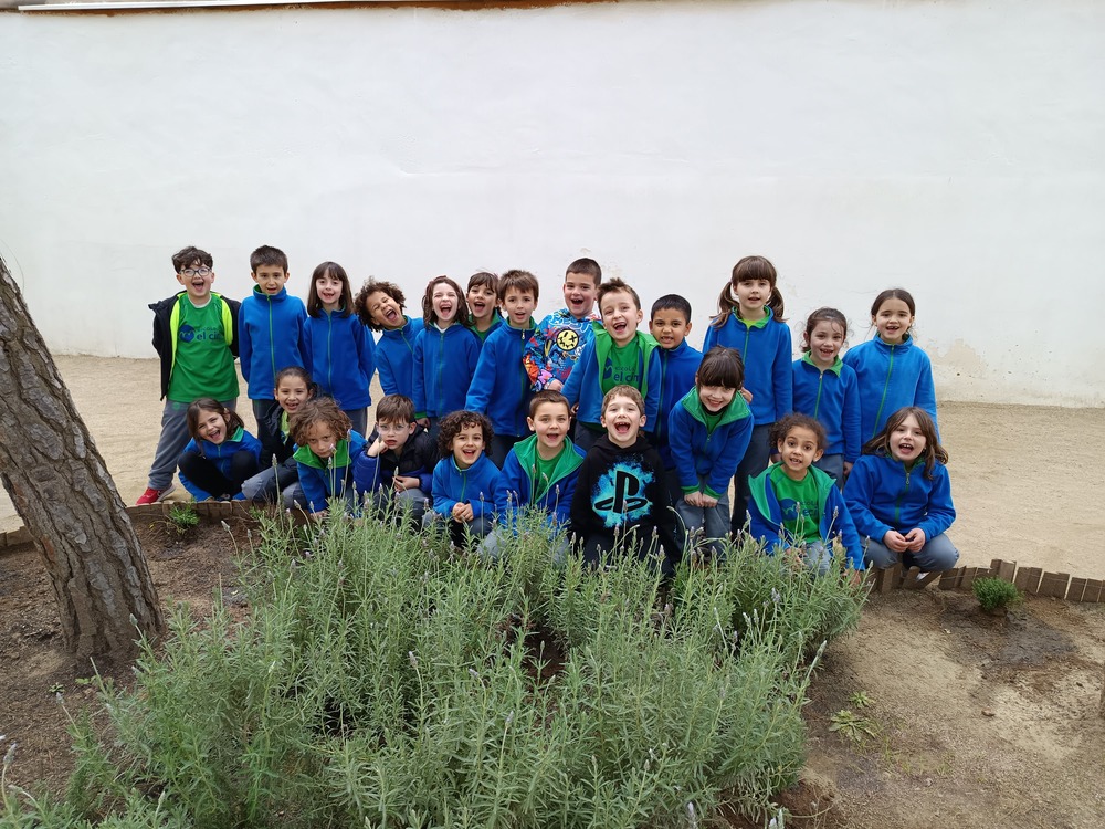 Plantem el parterre del pati