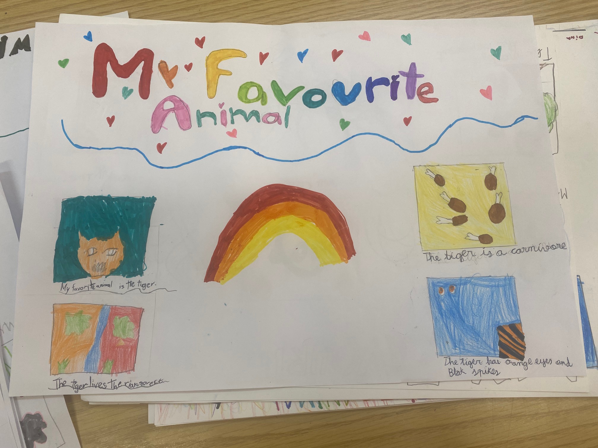 Writing about my favourite animal 3r Primària