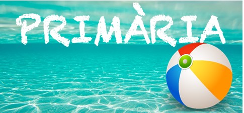 Recomanacion estiu 21 WEB-primària