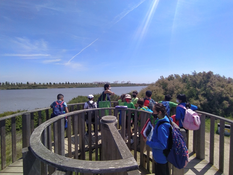 Delta del Llobregat 4t